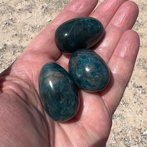 Puede incluir: Tres huevos de piedra preciosa verde y azul, pulidos y lisos, en una mano.