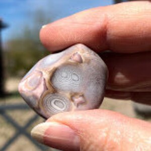 May include: A close-up of a small, irregularly shaped agate stone with a swirling pattern of white, brown, and gray. The stone has a smooth, polished surface.