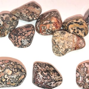 May include: A collection of ten tumbled ocean jasper stones. The stones are a mix of brown, black, white, and red with a speckled pattern.