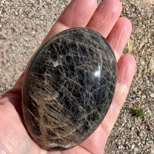 May include: A smooth, black and silver sunstone palm stone with a unique, web-like pattern.