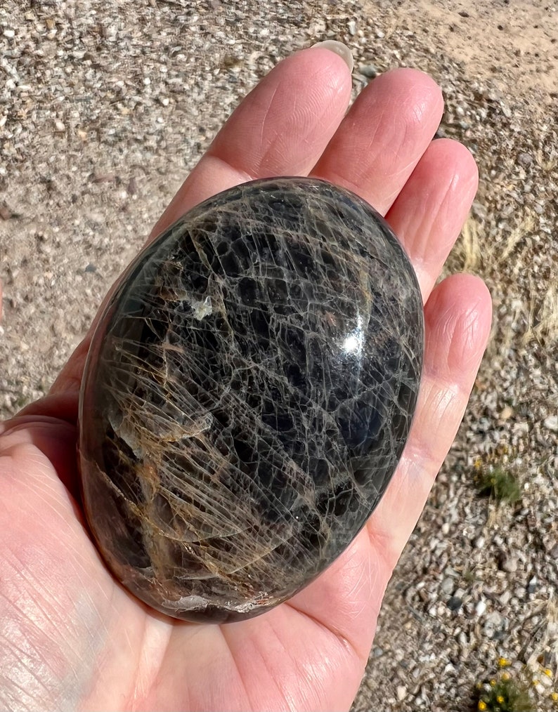 May include: A smooth, black and silver sunstone palm stone with a unique, web-like pattern.