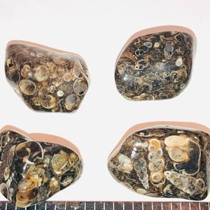 May include: Four smooth, brown and white agate stones with a unique, swirling pattern. The stones are tumbled and have a polished finish.