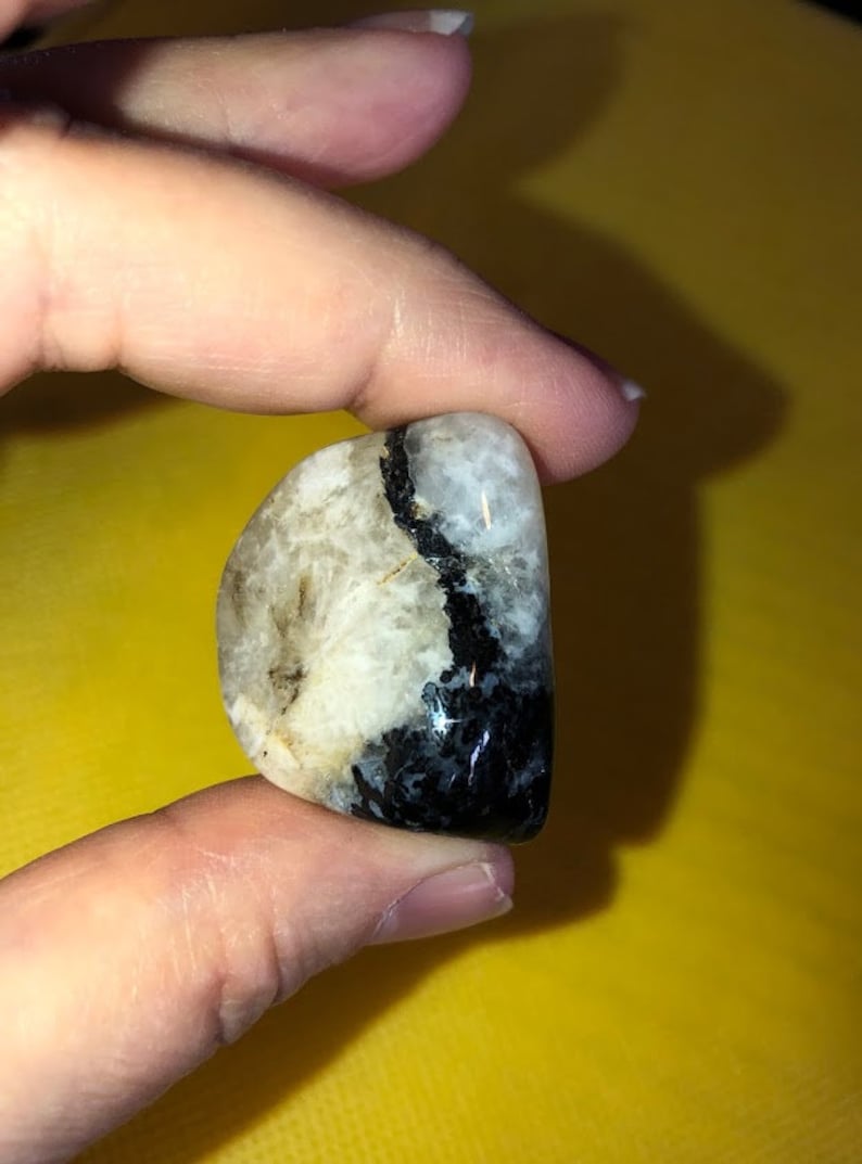 Peut inclure: Une pierre lisse, blanche et noire, avec une bande fonc&eacute;e, presque noire, traversant le centre.