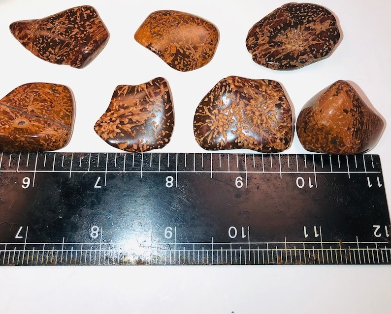 Starburst Jasper Aka Chrysanthemum Jasper and Starry Jasper Etsy