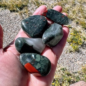 African Bloodstone, S/M/L/XL, aka Seftonite, Tumbled, South Africa