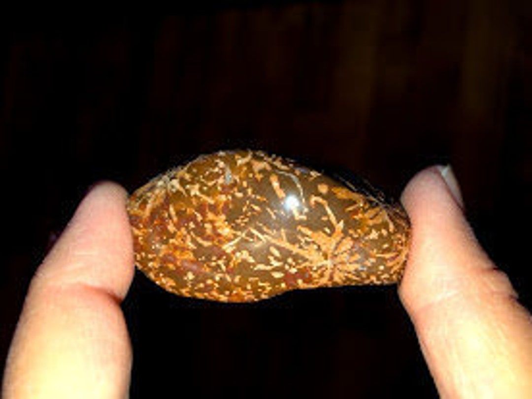 Starburst Jasper Aka Chrysanthemum Jasper and Starry Jasper, XL/L/M, AA