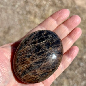May include: A smooth, oval-shaped black obsidian stone with gold flecks and a high polish.
