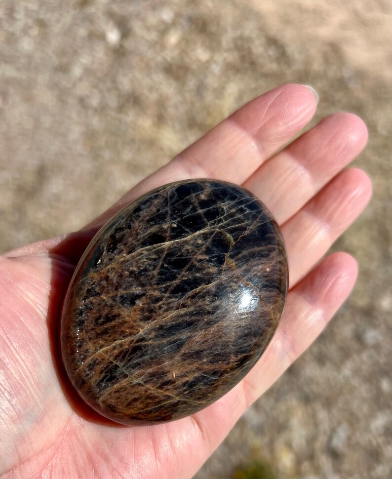 May include: A smooth, oval-shaped black obsidian stone with gold flecks and a high polish.