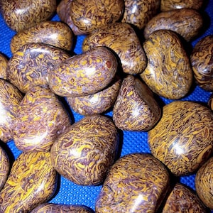 Arabic Stone, S/M/L/XL, Tumbled; aka Sanskrit Jasper, Elephant Skin, Calligraphy Stone, Miriam Stone; Grade A or B