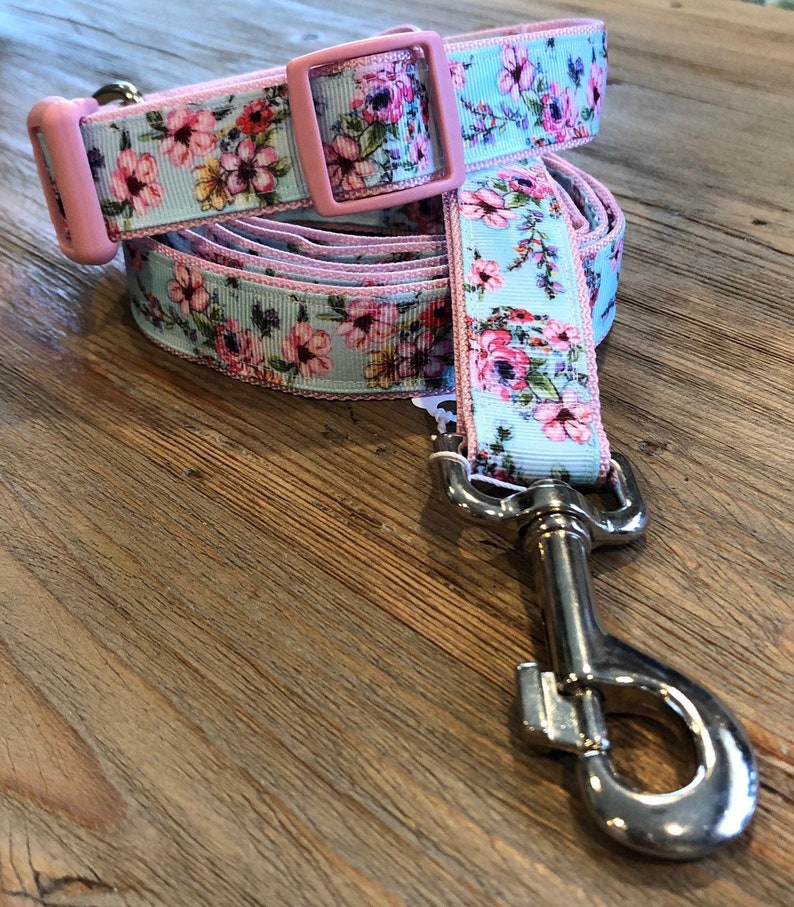girl dog collars and leashes
