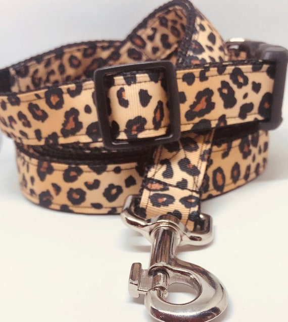 leopard dog collars and leashes
