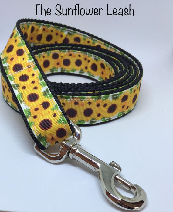 sunflower dog collar and leash