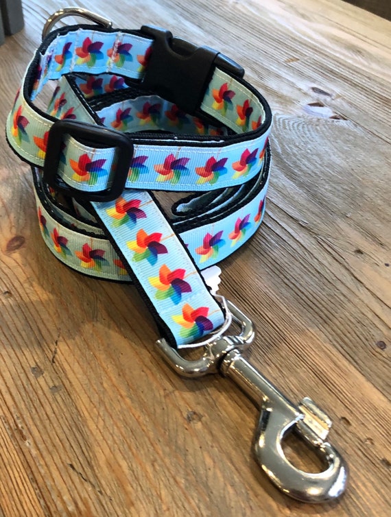 girl dog collars and leashes