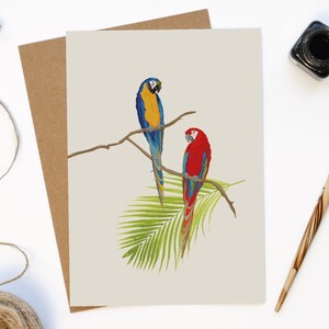 Cartão de felicitações tropical, cartão de aniversário com penas extravagantes, cartão unissex, cartão com arte de papagaio-aranha