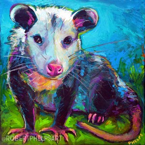 May include: A colorful painting of a possum with a white face and black body. The possum is sitting on a green background with a blue sky in the background. The painting is done in a vibrant style with bold colors.