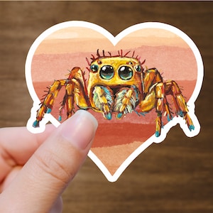 Cute Jumping Spider Sticker, Jumping Spider Decals, Cute Spider Laptop Stickers, Colorful Spider Art, Phiddipus Regius, Jumping Spider Gifts