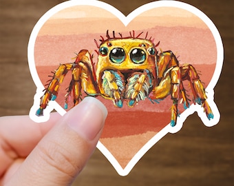 Cute Jumping Spider Sticker, Jumping Spider Decals, Cute Spider Laptop Stickers, Colorful Spider Art, Phiddipus Regius, Jumping Spider Gifts