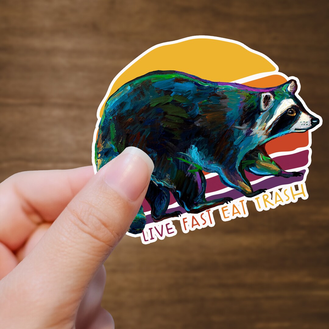 Funny Raccoon Sticker, Eat Trash Live Fast, Trash Panda Gift, Raccoon ...