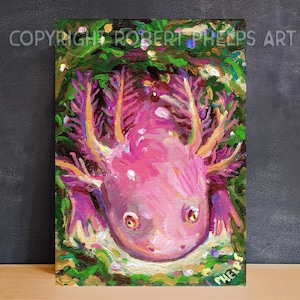 May include: A pink axolotl with feathery gills is painted in a whimsical style against a green and gold background. The axolotl is looking up at the viewer with large, round eyes. The painting is signed "Phelps" in the lower right corner.