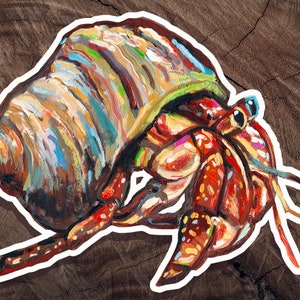 Hermit Crab Sticker, Hermit Crab Decal for Laptop, Hermit Crab Lover Gift, Cute Hermitcrab artwork, Crab Sticker for Water Bottle, Crab Gift