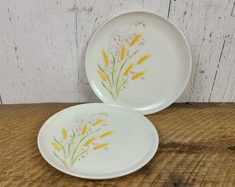 Vintage Set of 2 Melmac by Maplex Plates Wheat Pattern Melamine Dishes Retro Picnic Camping Bbq Outdoor Potluck Party Modern Mid Century