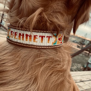 Custom beaded inlay leather dog collar