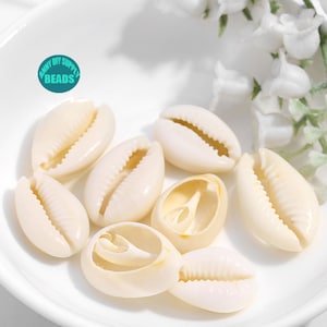 Może przedstawiać: Kolekcja ośmiu białych muszli kauri na białym tle. Muszle są gładkie i mają naturalny, organiczny kształt.