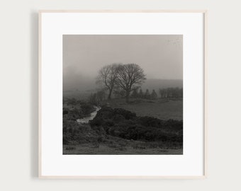 Silence | Fine Art Black and White Photo | Irish Landscape Print | Dublin Ireland Art | Travel Photography | Irish Decor | Rural Ireland