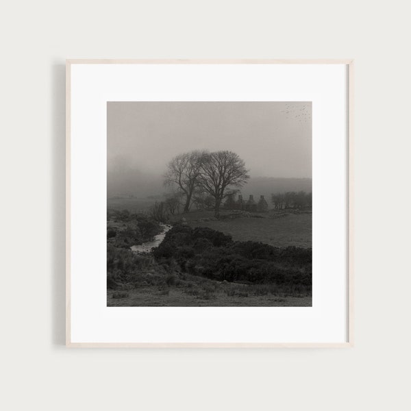 Silence | Fine Art Black and White Photo | Irish Landscape Print | Dublin Ireland Art | Travel Photography | Irish Decor | Rural Ireland