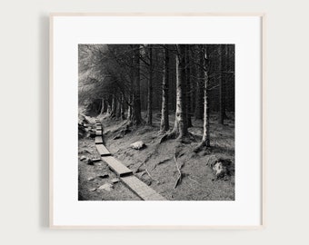 Irish Landscape Print | Ballinastoe Woods | Fine Art Black and White Photography |  | Dublin Ireland Art | Travel Photo | Irish Wall Decor