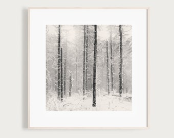 Winter Beskid Mountains | Fine Art Black and White Photography | Poland Landscape Print | Polish Mountains | Europe Travel Photography