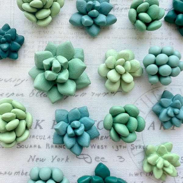 Succulent Magnets or Pushpins, Cactus Magnets or Pushpins, Succulent Push Pins, Succulent Favors, Succulent Wedding Favors, Miniature