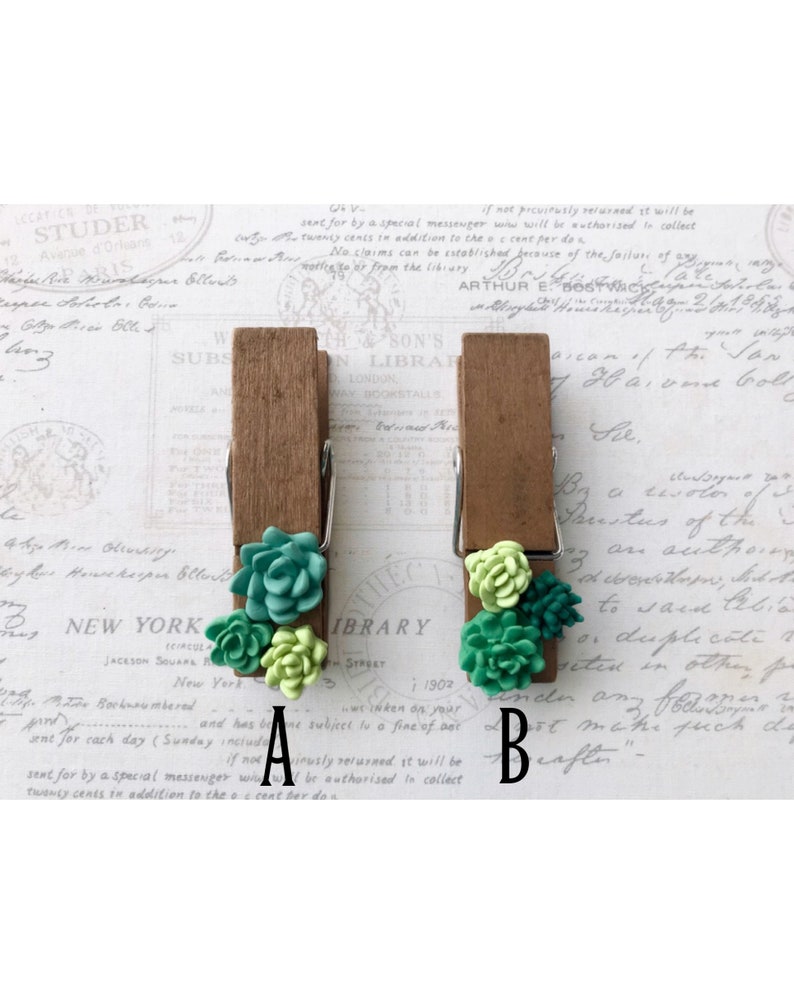 Succulent Clothespin Magnets, Wood Clothespin Magnets, Cactus Clothespin Magnets, Magnets for boards, Succulent Magnets, Wedding Favors image 4