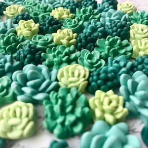 Succulent Magnets or Pushpins, Cactus Magnets or Pushpins, Succulent Push Pins, Succulent Favors, Succulent Wedding Favors, Miniature Succul