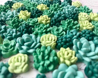 Succulent Magnets or Pushpins, Cactus Magnets or Pushpins, Succulent Push Pins, Succulent Favors, Succulent Wedding Favors, Miniature Succul