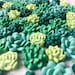 Succulent Magnets or Pushpins, Cactus Magnets or Pushpins, Succulent Push Pins, Succulent Favors, Succulent Wedding Favors, Miniature Succul 