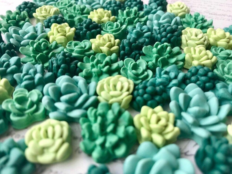 Succulent Magnets or Pushpins, Cactus Magnets or Pushpins, Succulent Push Pins, Succulent Favors, Succulent Wedding Favors, Miniature Succul 