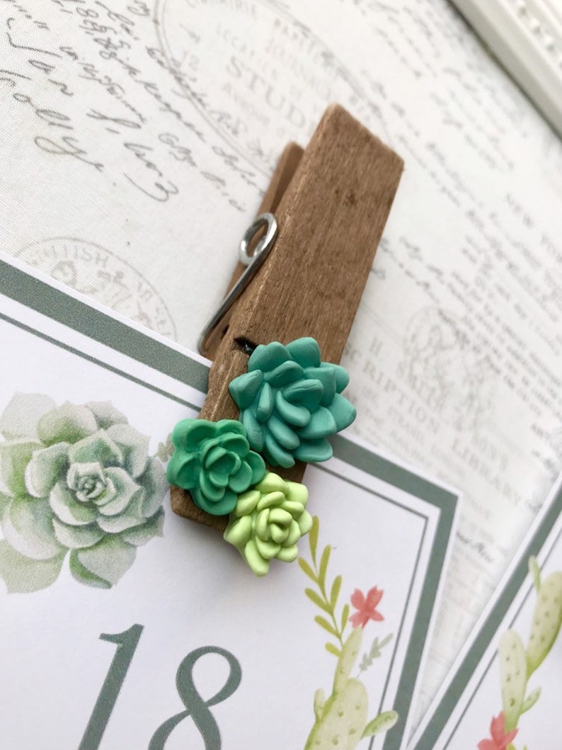 Succulent Clothespin Magnets, Wood Clothespin Magnets, Cactus Clothespin Magnets, Magnets for boards, Succulent Magnets, Wedding Favors image 6