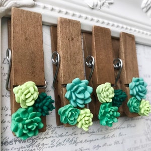 Succulent Clothespin Magnets, Wood Clothespin Magnets, Cactus Clothespin Magnets, Magnets for boards, Succulent Magnets, Wedding Favors image 8