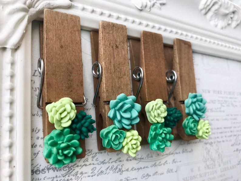 Succulent Clothespin Magnets, Wood Clothespin Magnets, Cactus Clothespin Magnets, Magnets for boards, Succulent Magnets, Wedding Favors image 8