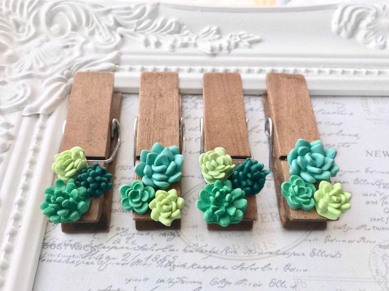 Succulent Clothespin Magnets, Wood Clothespin Magnets, Cactus Clothespin Magnets, Magnets for boards, Succulent Magnets, Wedding Favors image 5