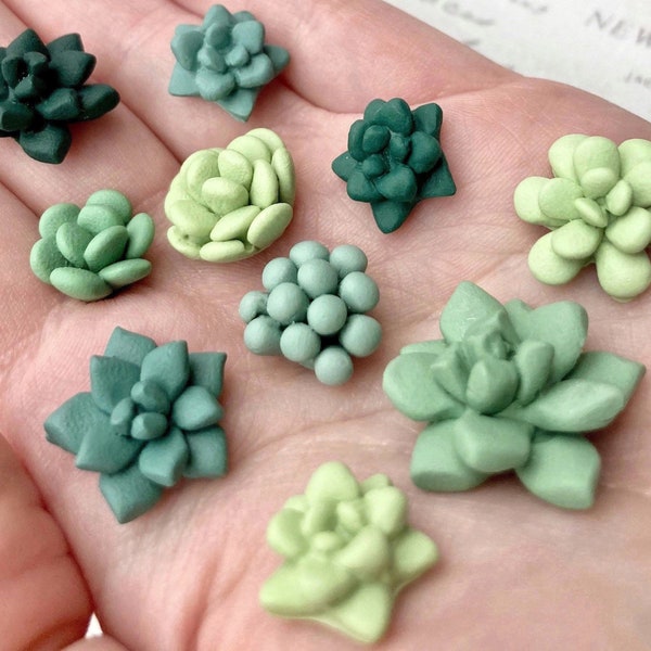 Succulent Magnets or Pushpins, Cactus Magnets or Pushpins, Succulent Push Pins, Succulent Favors, Succulent Wedding Favors, Miniature