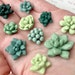 Succulent Magnets or Pushpins, Cactus Magnets or Pushpins, Succulent Push Pins, Succulent Favors, Succulent Wedding Favors, Miniature 