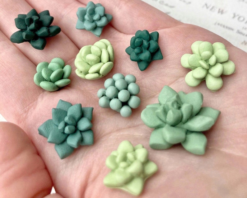 Succulent Magnets or Pushpins, Cactus Magnets or Pushpins, Succulent Push Pins, Succulent Favors, Succulent Wedding Favors, Miniature 