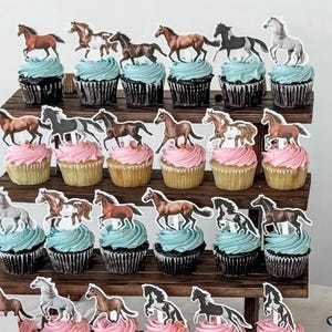 Horse Cupcake Toppers: Equestrian Birthday Party Decorations (12 PCS)