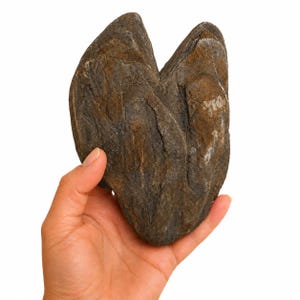 Op de afbeelding: Een hartvormige natuursteen met een ruw, getextureerd oppervlak in tinten donkerbruin, grijs en antraciet. De steen vertoont organische ribbels en spleten over het hele oppervlak, wat zorgt voor een robuust uiterlijk met een duidelijke inkeping.