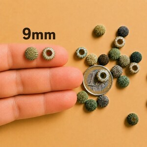 Op de afbeelding: Een verzameling kleine, ronde, groene zee-egelstekelkralen, elk met een diameter van 9 mm. De kralen hebben een getextureerd, stekelig oppervlak met een gat in het midden. Een munt van één euro is toegevoegd voor de schaal.