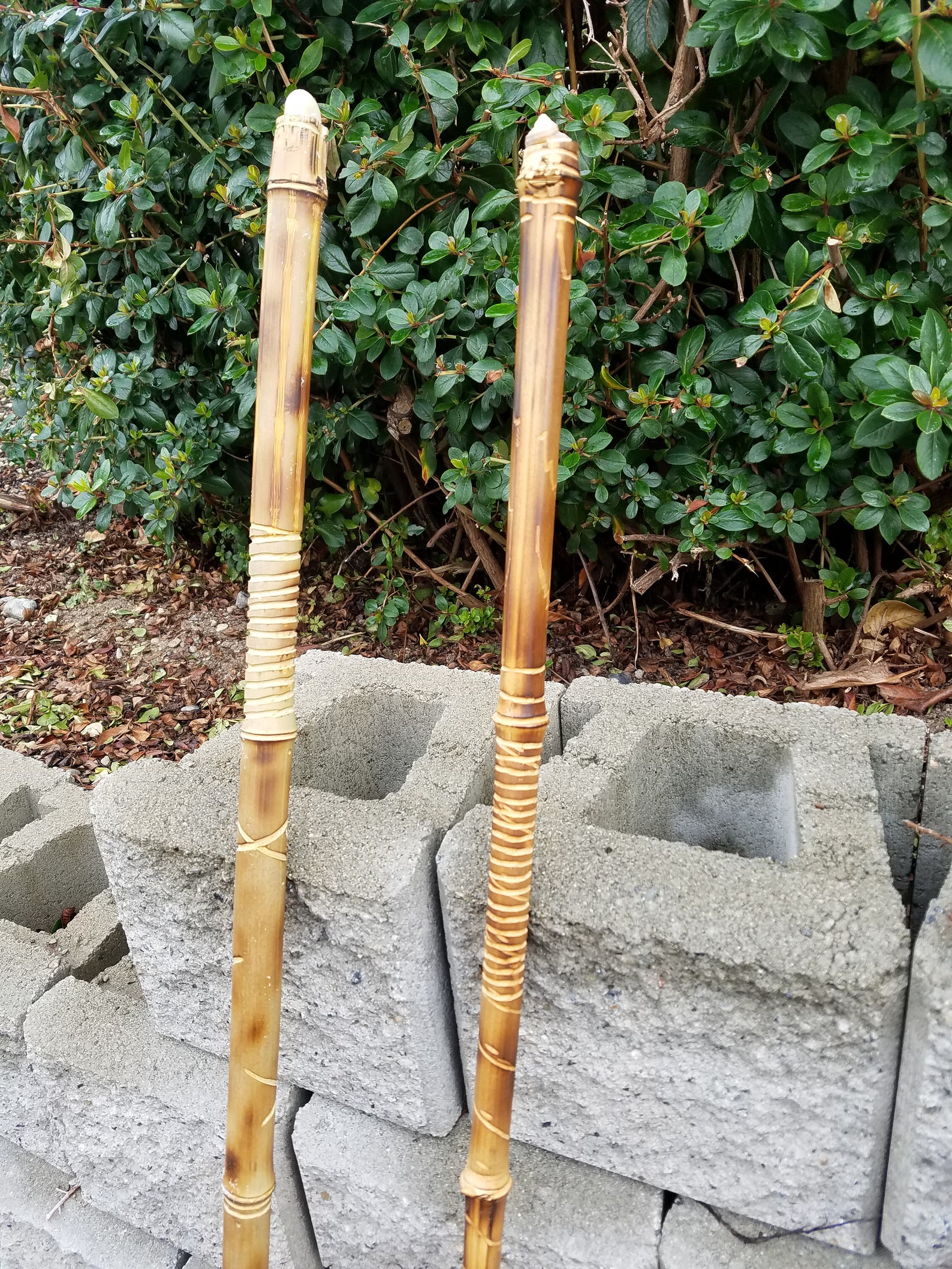 Bamboo Walking Stick Etsy