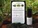 Moldavite Oil 100% Pure Essential Oils Moldavite Life 