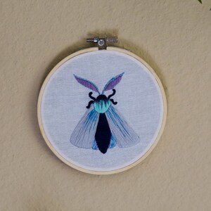 Midnight Moth